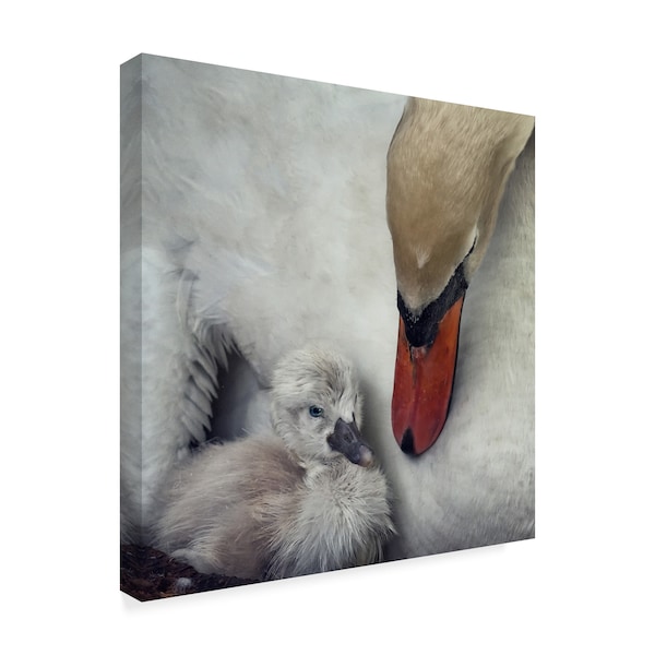 Piet Flour 'Close To You' Canvas Art,14x14